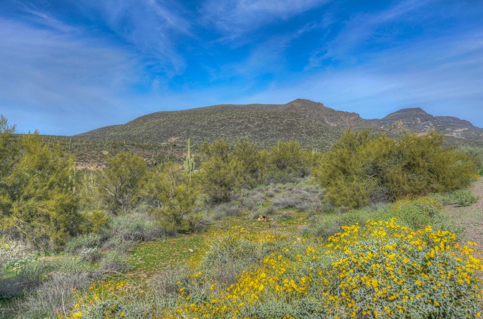 Views of Elephant Butte