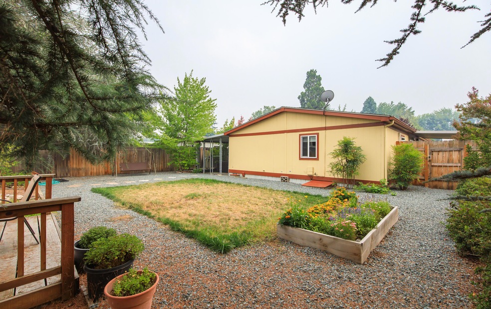 Big backyard