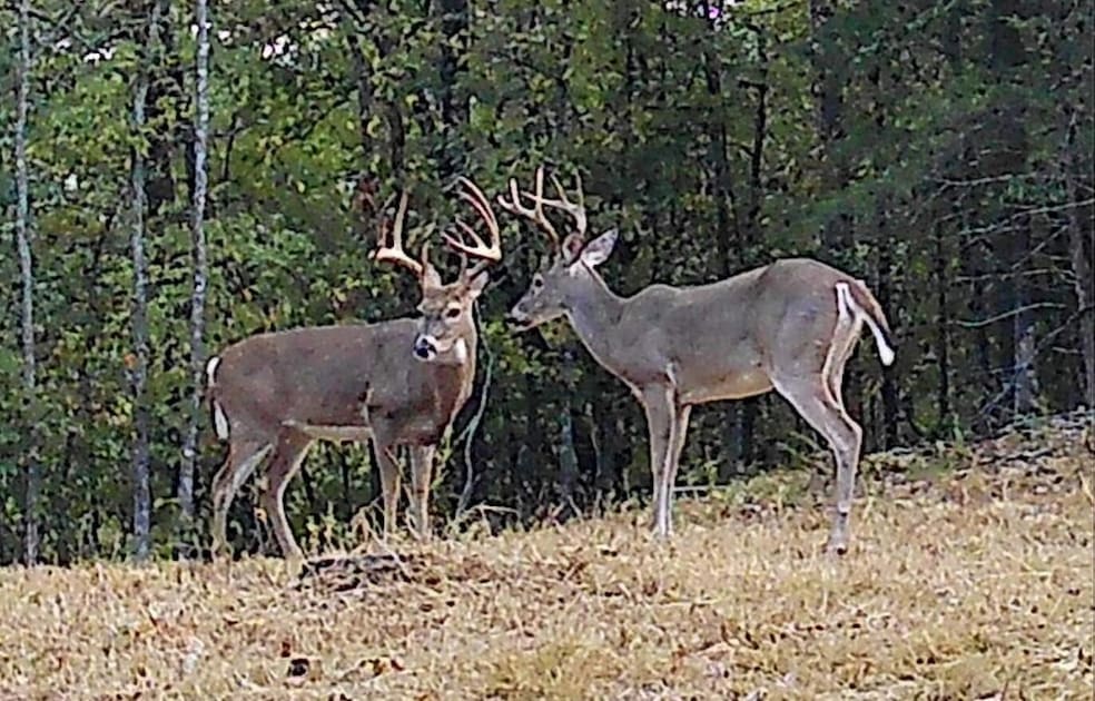 For Sale $500,000 • Co-Listing Agent