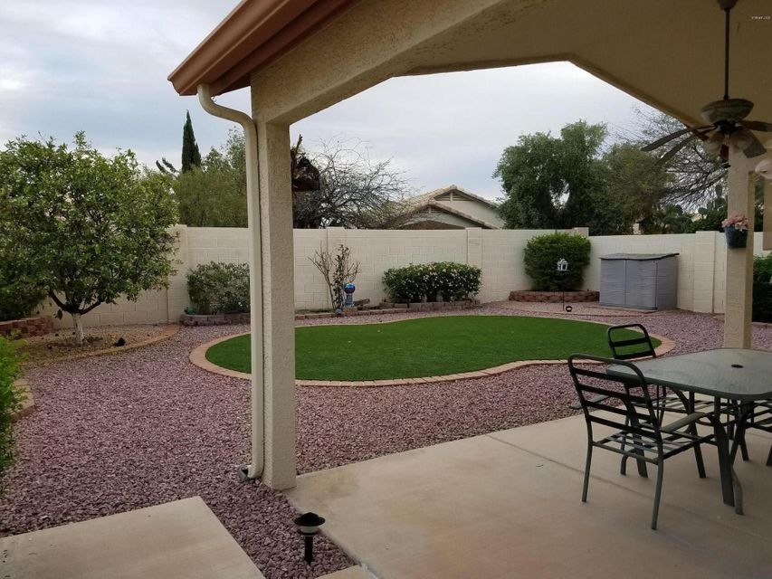 Backyard Patio