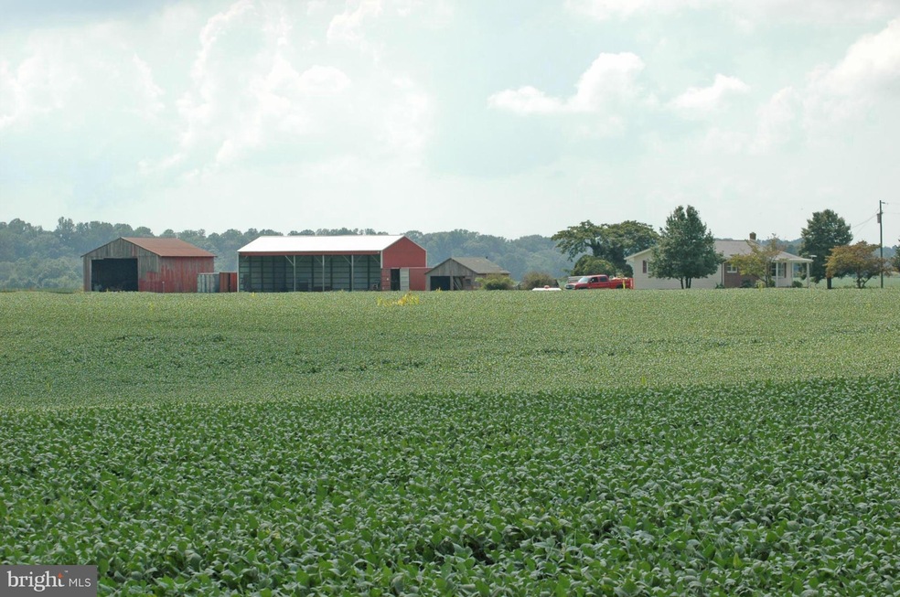 1306 Middleneck Rd, Warwick, MD 21912 - photo 1