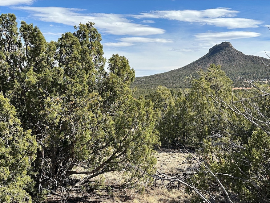4.872 Acres Fronxtage Rd 2116, Serafina, NM 87569 - photo 1