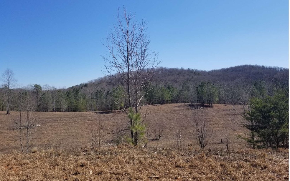 0 Dales Spur unit 295493, Ellijay, GA 30536 - photo 1