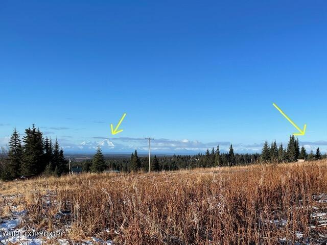 0000 Trail Rd, Anchor Point, AK 99556 - photo 1