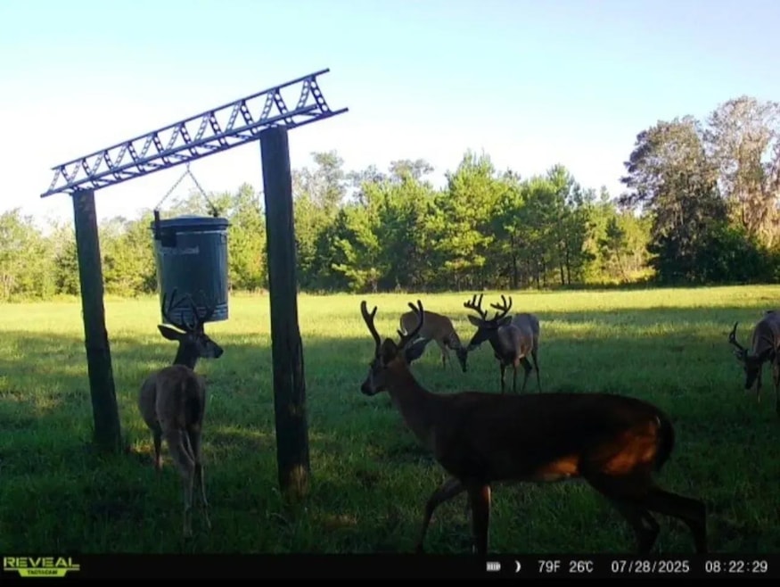 650 Flowers Rd, Madison, FL 32340 - photo 1