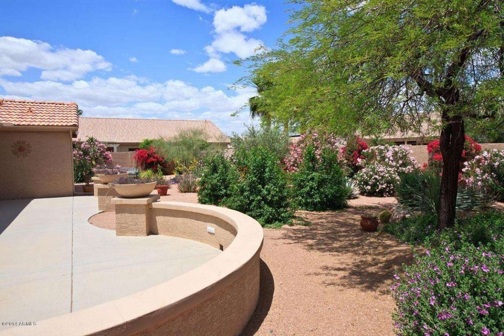 Patio View