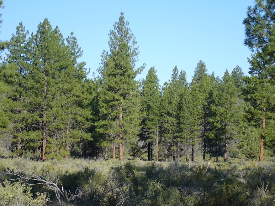 0 20 Acres Off Technor Robison Rd unit 20250909, MacDoel, CA 96058 - photo 1