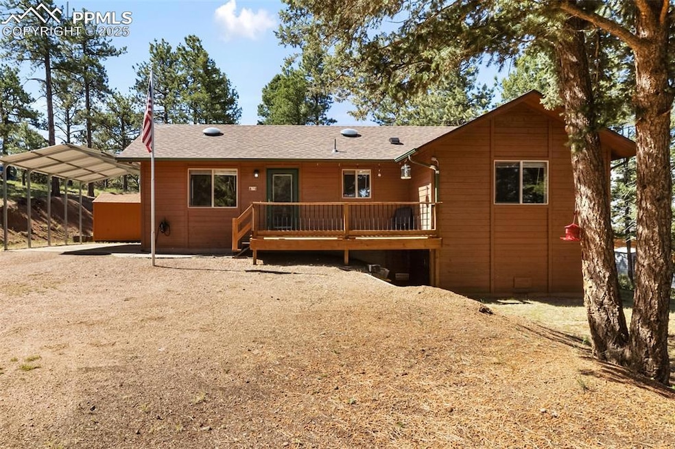 234 Wasatch Ln, Florissant, CO 80816 - photo 1