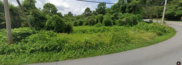 0 Shallowford Rd unit 1382045, Chattanooga, TN 37404 - photo 1