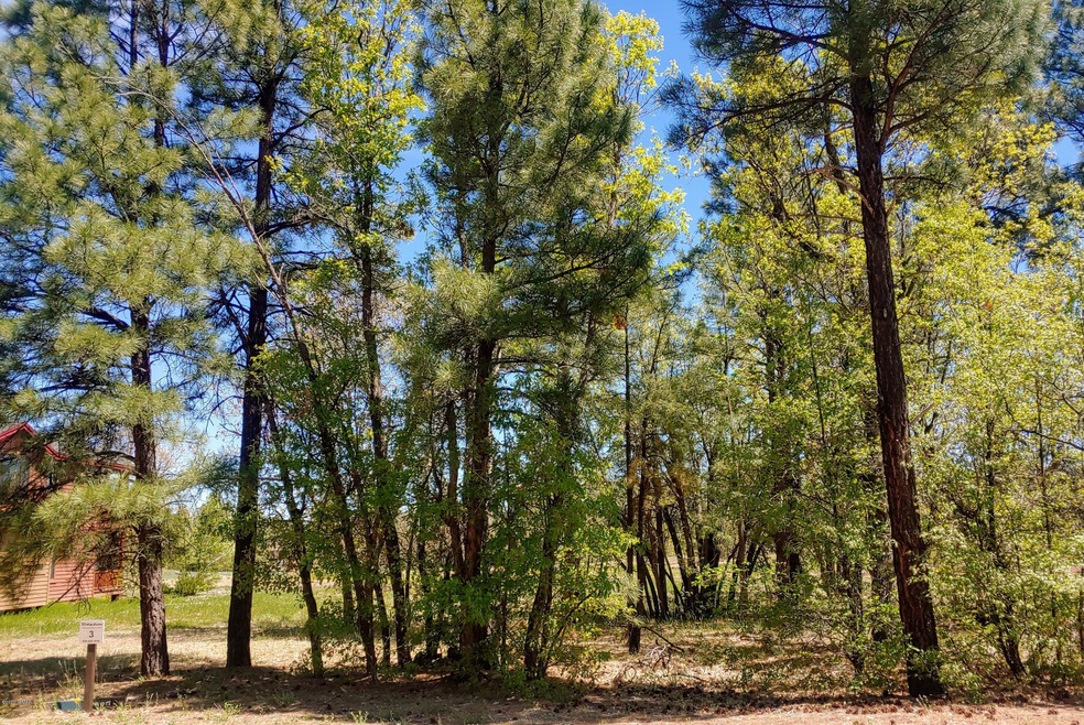 Pines