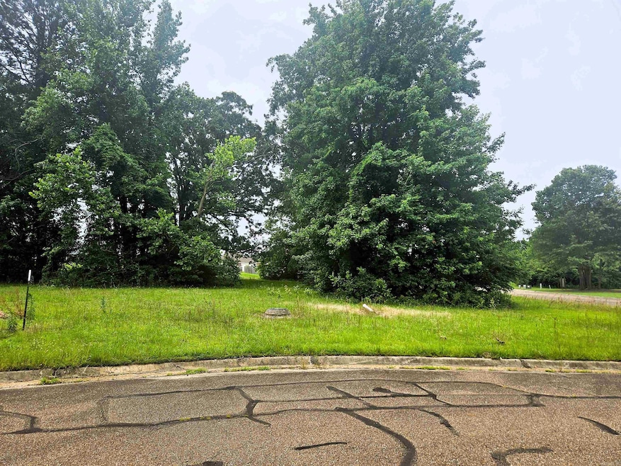 Lot 1 High -Cooper Lane Estate III Dr, Texarkana, TX 75503 - photo 1