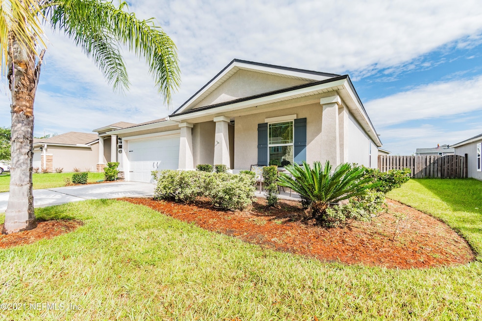 Tropical Landscaping