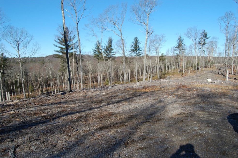 0 A Young Rd, Charlton, MA 01507 - photo 1