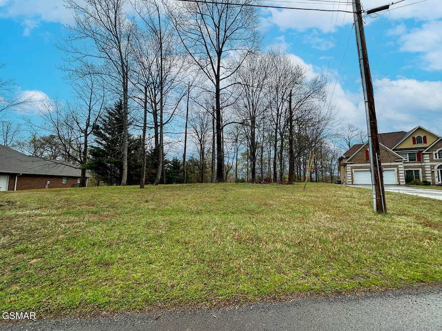 0 David Swann Dr unit 309362, Dandridge, TN 37725 - photo 1