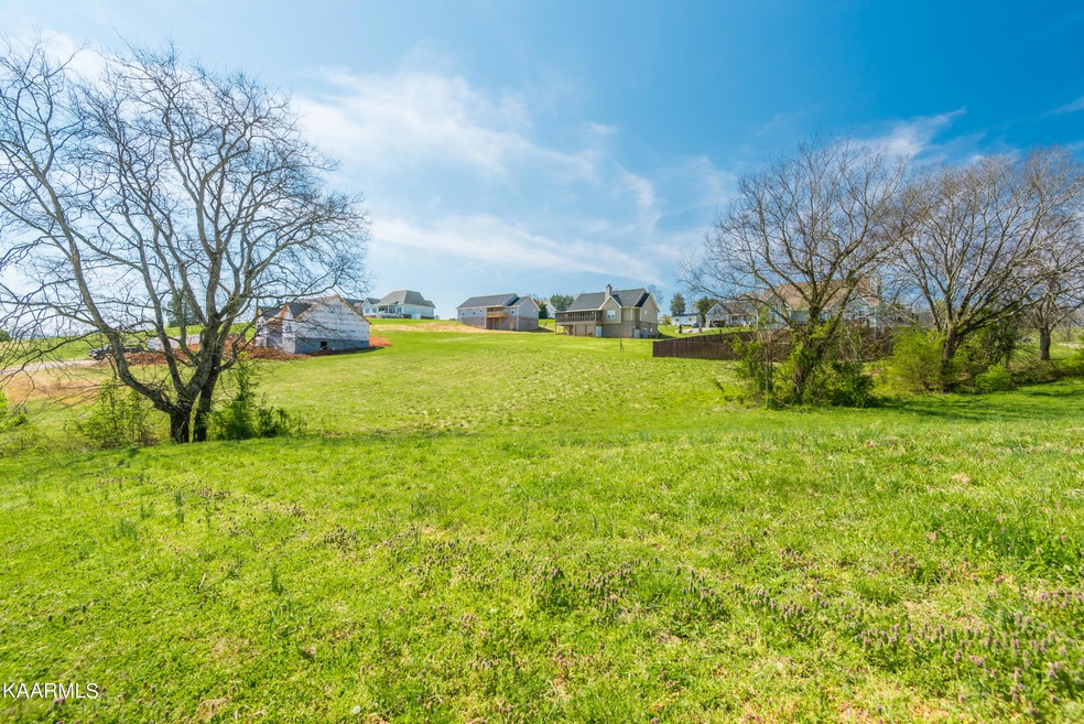 2119KingViewLoop2