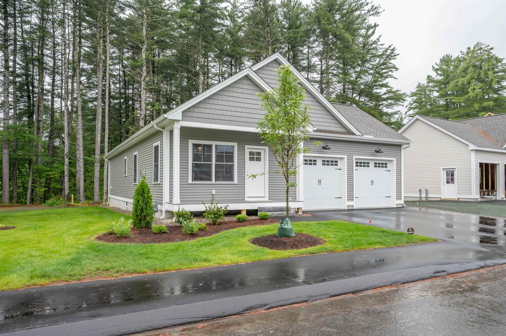 3 Doucet Ave unit The Cub, Nashua, NH 03062 - photo 1