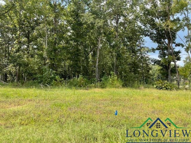 View of local wilderness