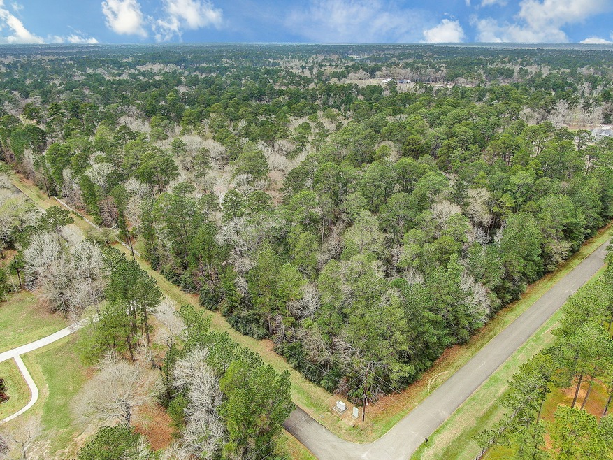 0 Croger, Magnolia, TX 77354 - photo 1