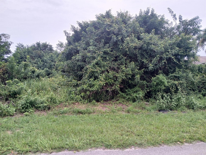 4437 SW Cacao St, Port St. Lucie, FL 34953 - photo 1