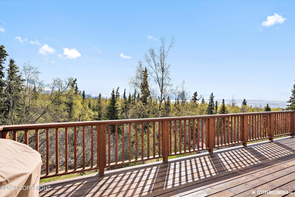 15140 Platinum Cir, Anchorage, AK 99516 - photo 1