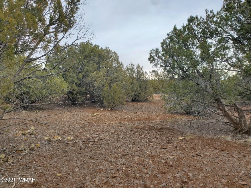 Vacant Land