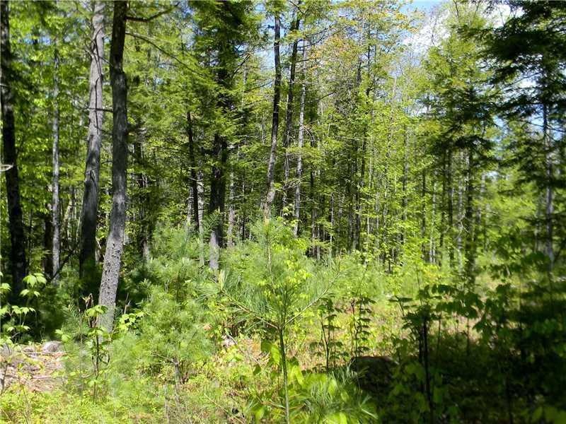 Lot #4 Sweden Rd, Bridgton, ME 04057 - photo 1