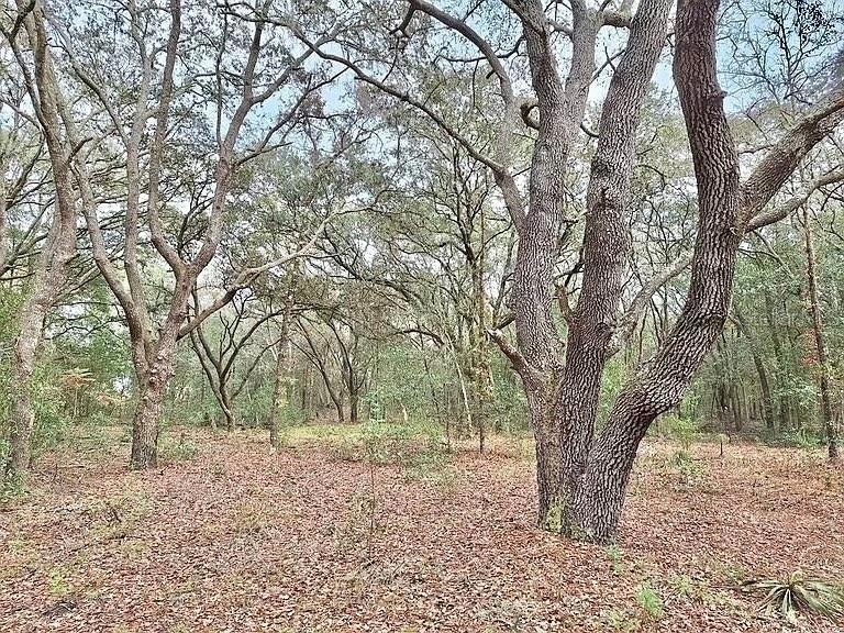 TBD SE 73rd Place unit Lot 11, Morriston, FL 32668 - photo 1