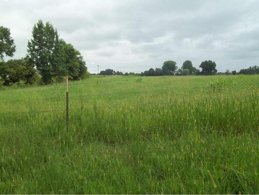 00 Leonard Rd, Cullman, AL 35055 - photo 1