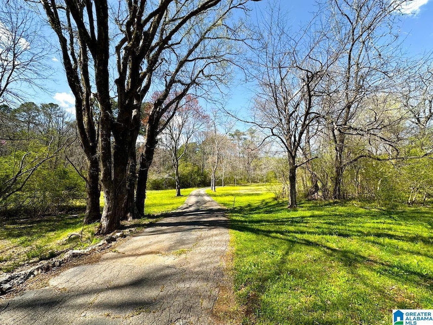 1931 Red Valley Rd, Remlap, AL 35133 - photo 1