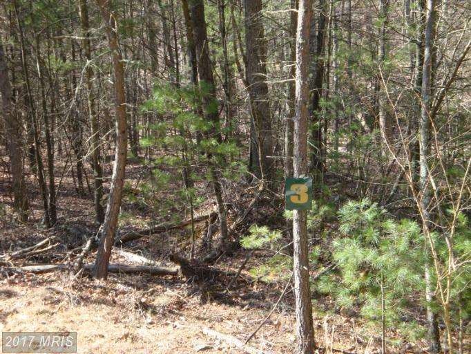 0 N Mt Rd unit 1000213513, Wardensville, WV 26851 - photo 1