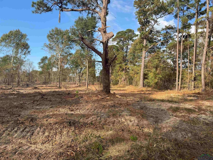 Lot 4 TBD County Road 4108, Henderson, TX 75654 - photo 1