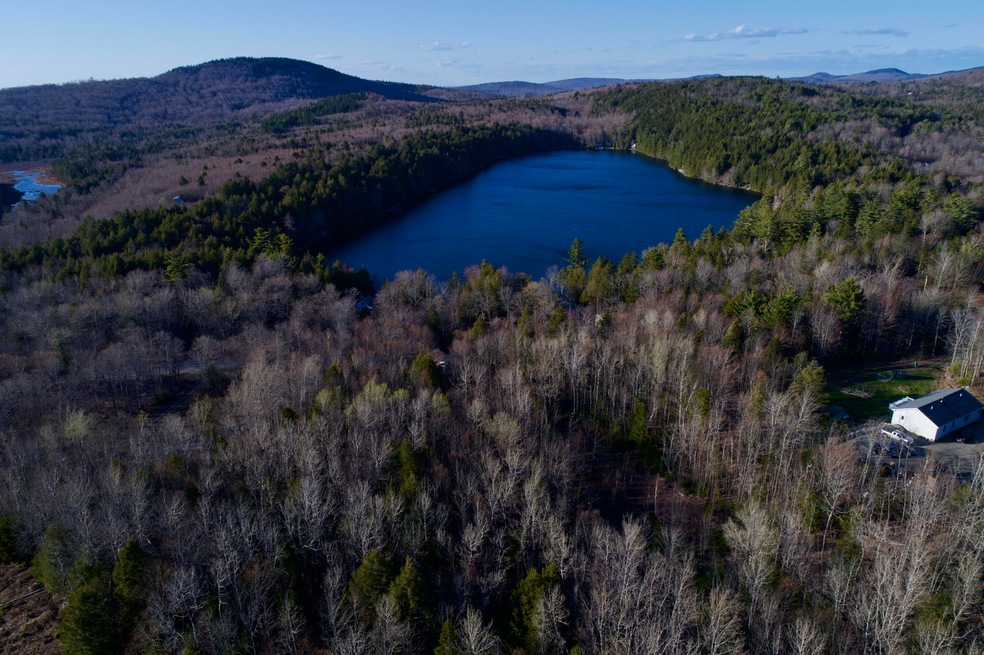 Pond view