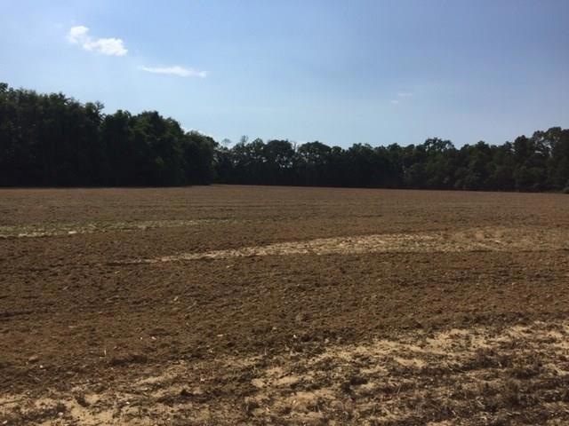 0 County Road 54 unit 628412, Daphne, AL 36526 - photo 1