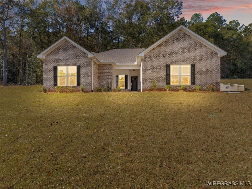 185 County Road 165, New Brockton, AL 36351 - photo 1