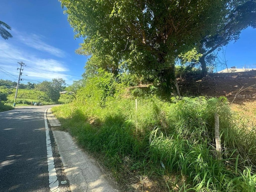 Carr 485 Carr 485, Camuy, PR 00627 - photo 1