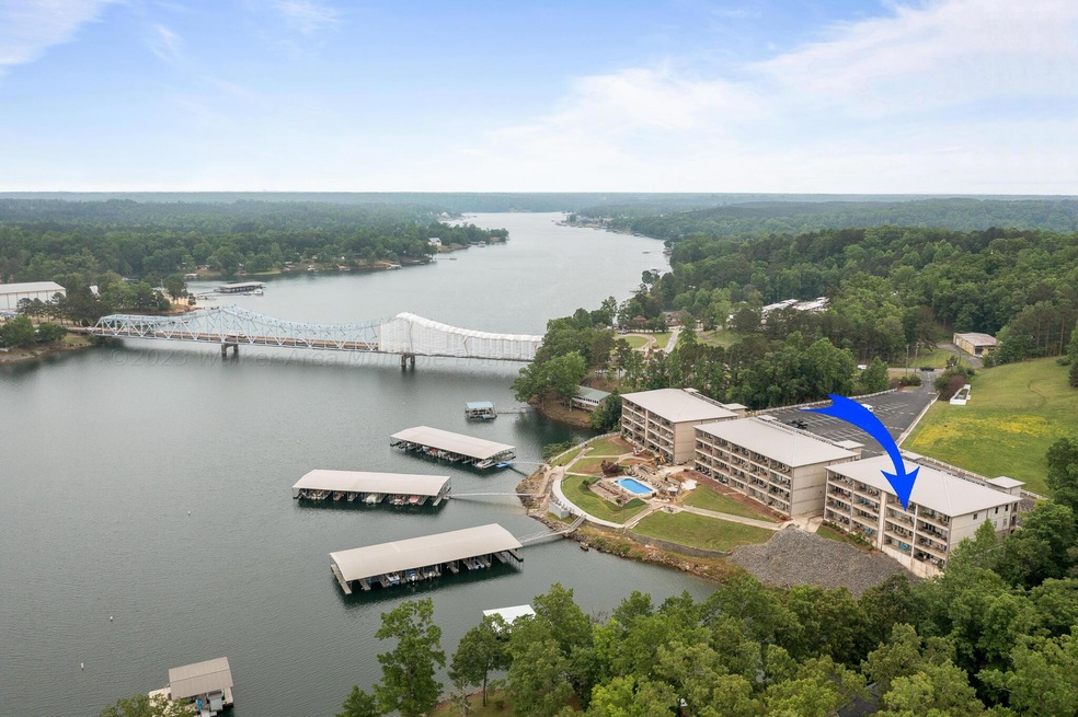 Lakeside Aerial