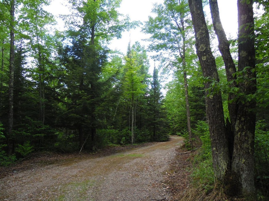 Acreage Cth Cc, Tomahawk, WI 54487 - photo 1