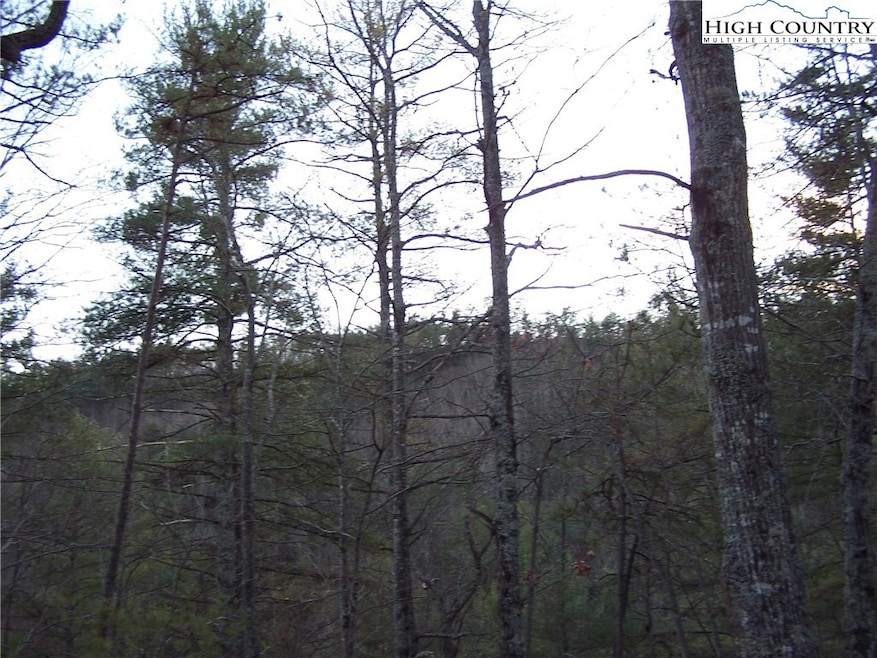 Tbd Roaring Ridge Rd, Deep Gap, NC 28618 - photo 1