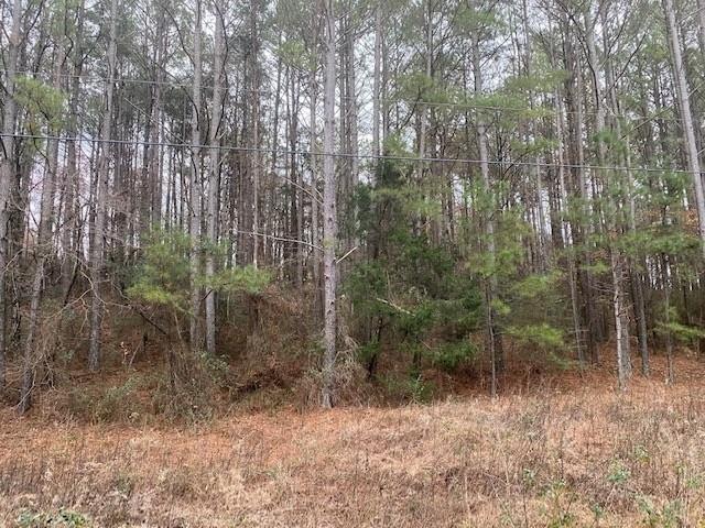 Property is wooded and is on a small hill.