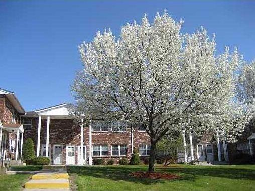 Front of Structure