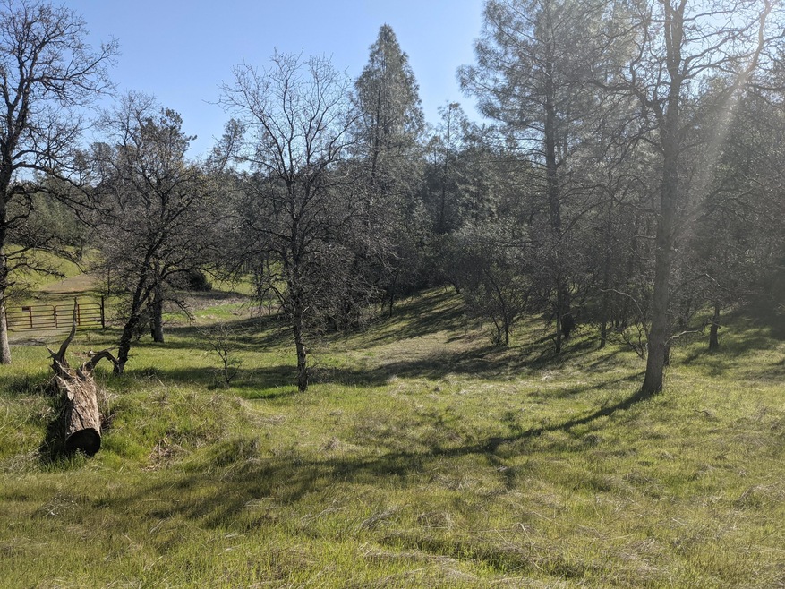 PXL_20210323_180927850