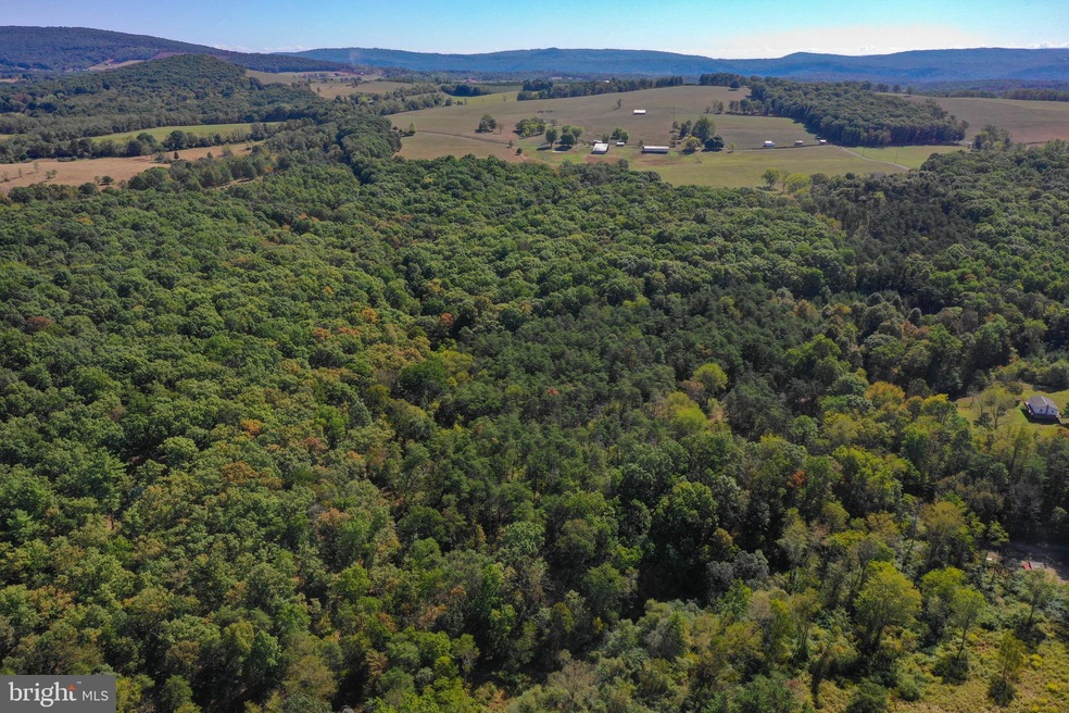 0 Waylynn Rd unit WVHS113242, Augusta, WV 26704 - photo 1