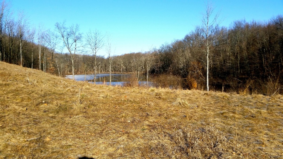 20150324_094011