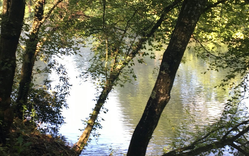 0 Bench Leg Rd unit 280799, Mineral Bluff, GA 30559 - photo 1