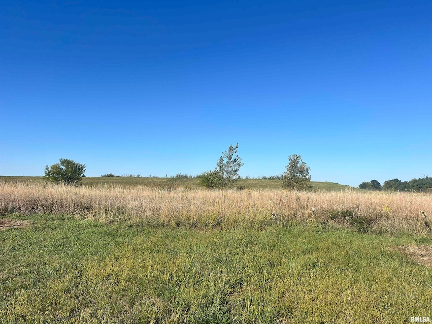 Lot 87 Kyle Ct, Metamora, IL 61548 - photo 1