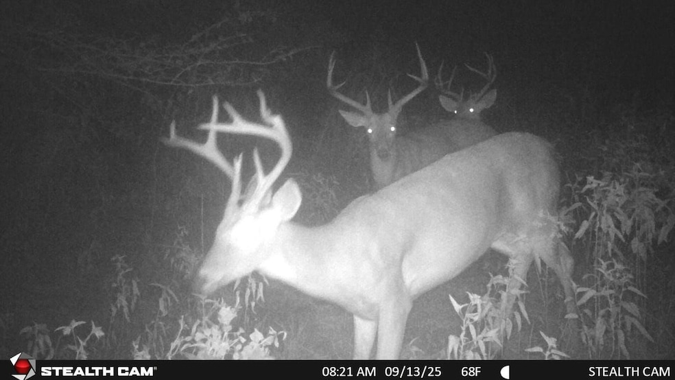 Highway 31, Coalgate, OK 74538 - photo 1