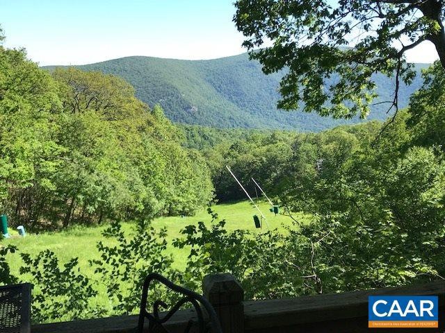 176 N Rock Tree Ln, Wintergreen Resort, VA 22967 - photo 1