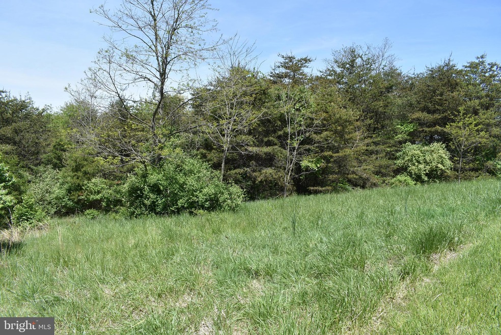 0 Maple Ridge unit MDWA2010406, Hancock, MD 21750 - photo 1