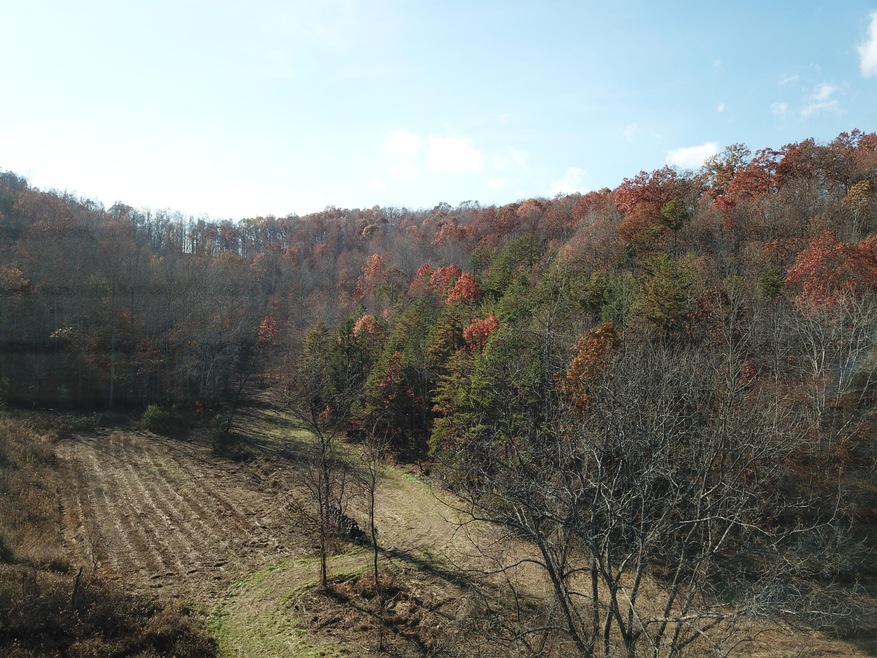 1880 Highway 1709, Tyner, KY 40486 - photo 1