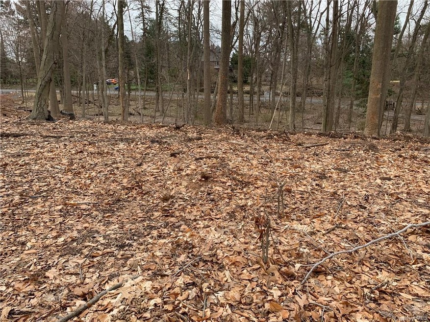 257 Sickletown Rd, Orangeburg, NY 10962 - photo 1